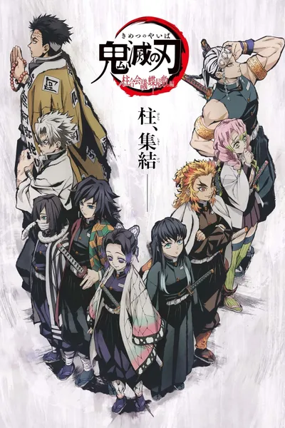 Demon Slayer: Kimetsu no Yaiba the Hashira Meeting Arc