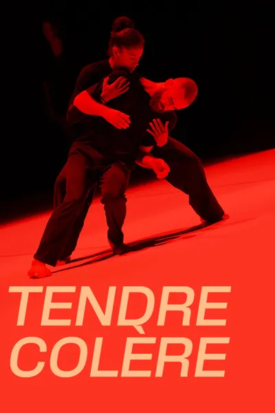 Suresnes cité danses, Tendre colère