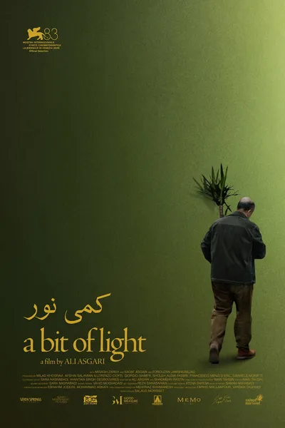 A Bit of Light