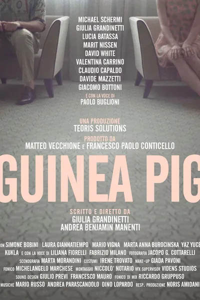 Guinea Pig