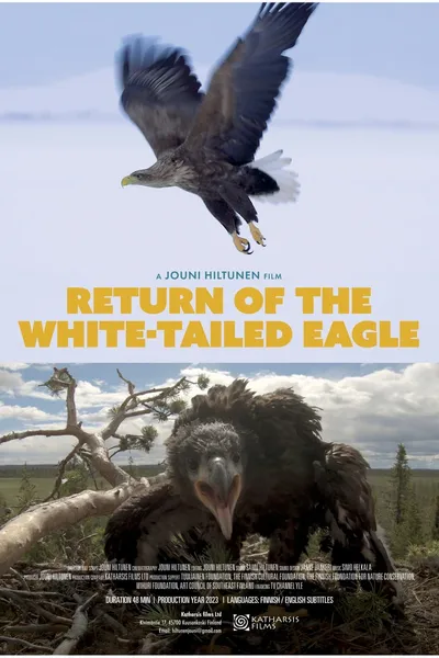 Return of the White-tailed Eagle
