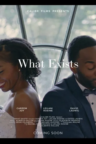 What Exists