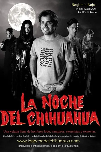 The Night of the Chihuaua
