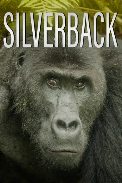 Silverback