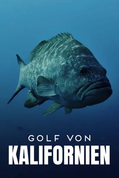 Golf von Kalifornien