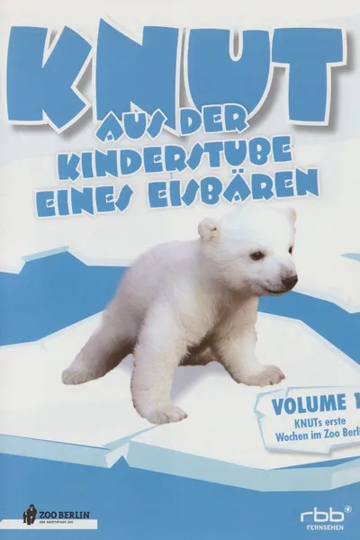 Knut - Aus der Kinderstube eines Eisbären