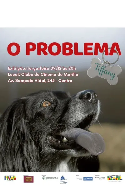 O Problema Tiffany