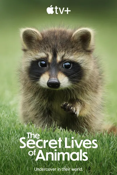 The Secret Lives of Animals