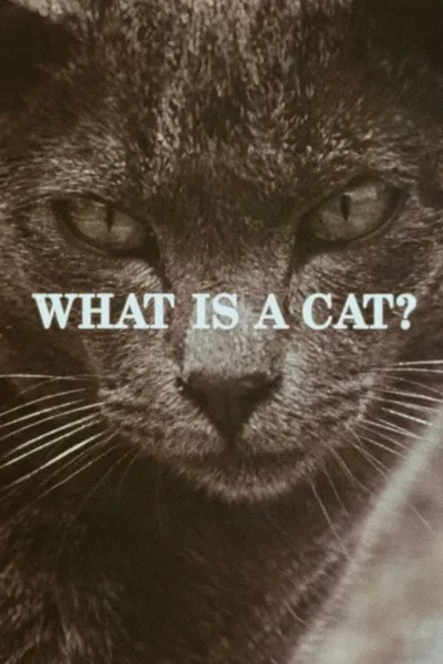 What Is a Cat?