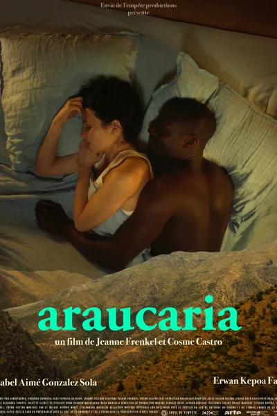 Araucaria