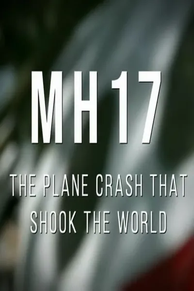 MH17: The Plane Crash That Shook The World