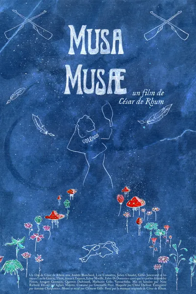 Musa, Musae