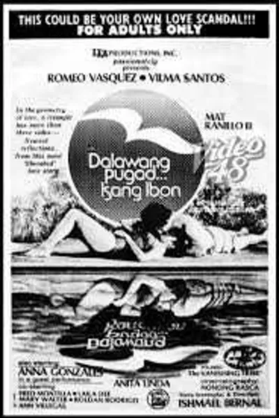 Dalawang Pugad... Isang Ibon