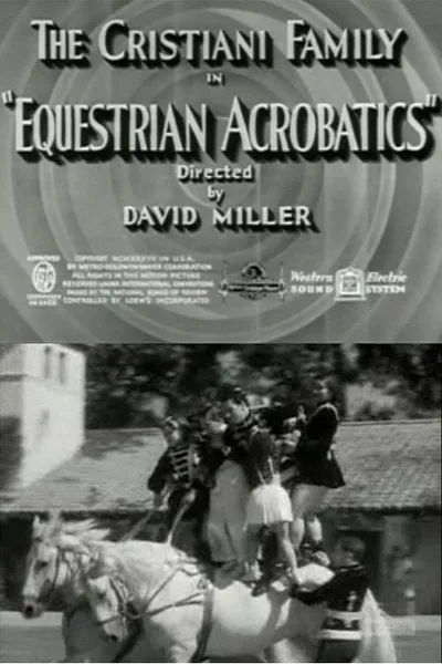 Equestrian Acrobats