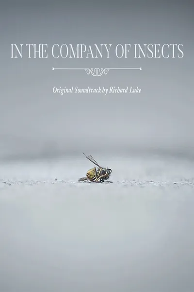 In the Company of Insects