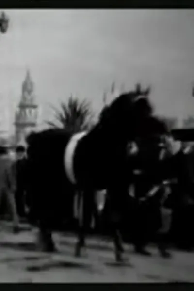 Horse Parade at the Pan-American Exposition