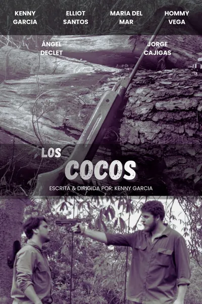 The Coconuts