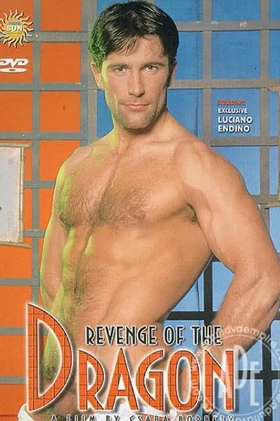 Revenge of the Dragon