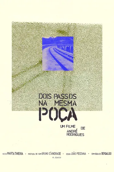 Dois passos na mesma poça