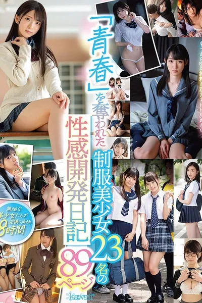 The Sexual Journal Of 23 Hot School Girls Who Lost Their Adolescence, 89 Pages