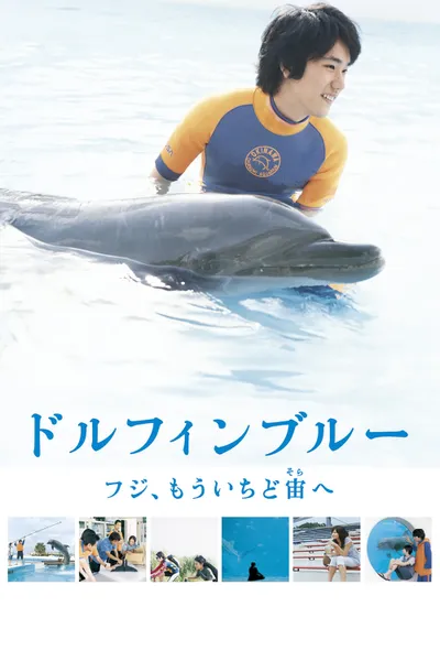 Dolphin Blue: Soar Again, Fuji