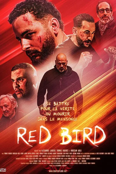Red Bird