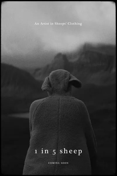 1 In 5 Sheep