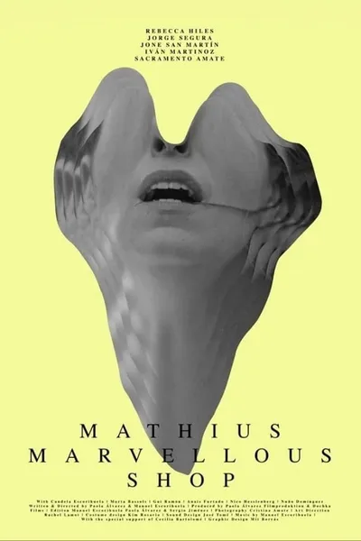 Mathius Marvellous Shop