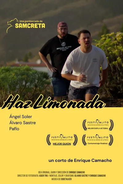 Haz Limonada
