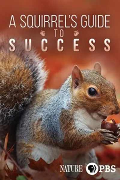 A Squirrel's Guide to Success