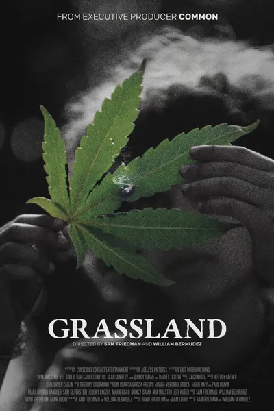 Grassland