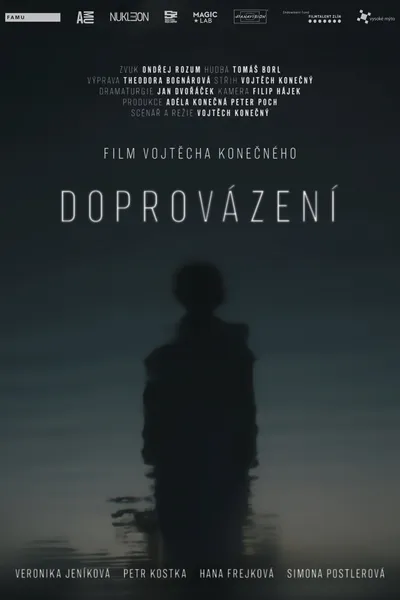 Doprovázení