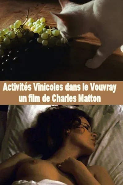 Activités vinicoles dans le Vouvray