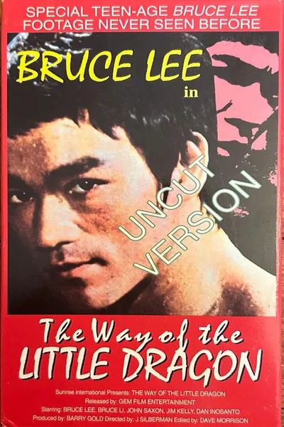 The Way of the Little Dragon