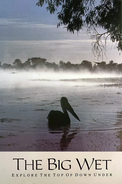 The Big Wet