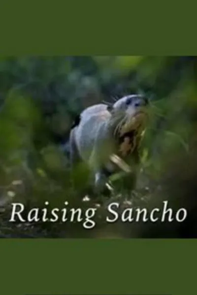 Raising Sancho