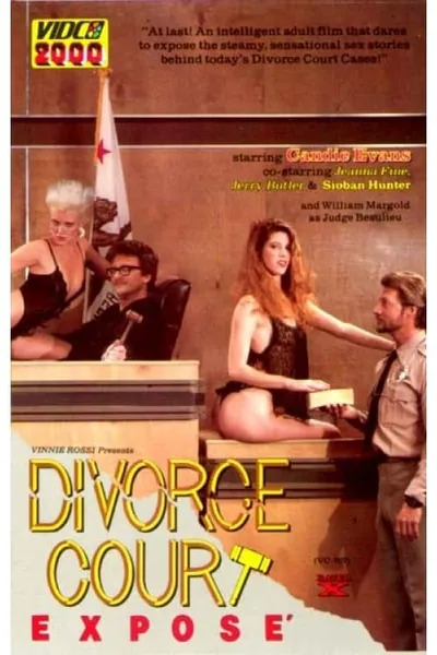 Divorce Court Expose