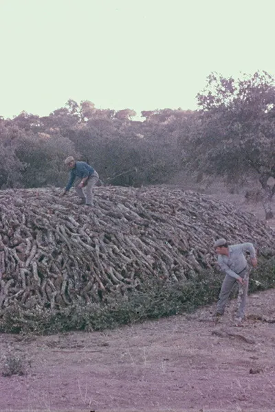 Encinares