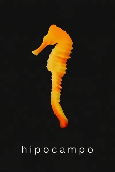 Hippocampus