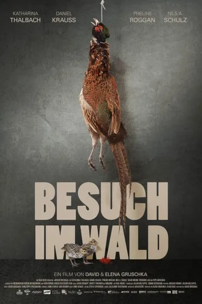 Besuch im Wald