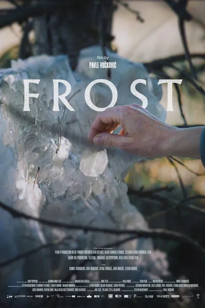 Frost