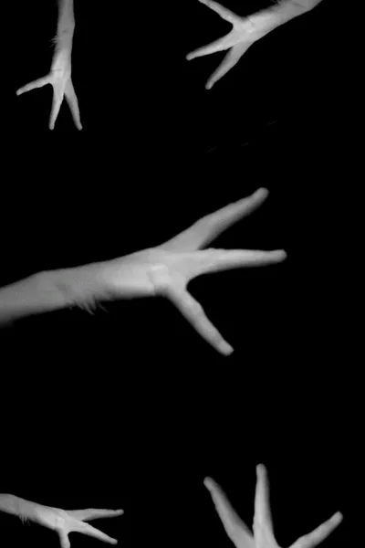 Phantom Hand