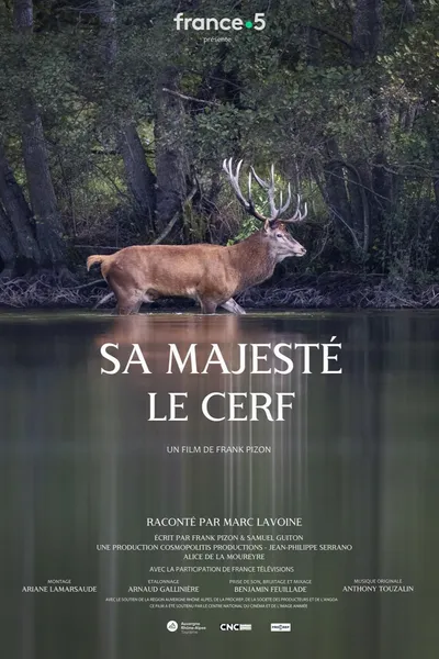 Sa majesté le cerf