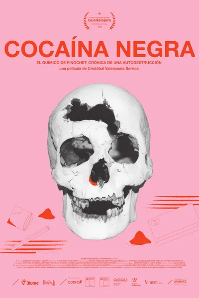 Black Cocaine