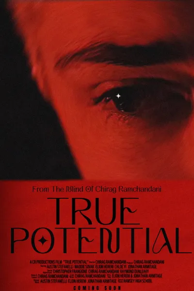 True Potential