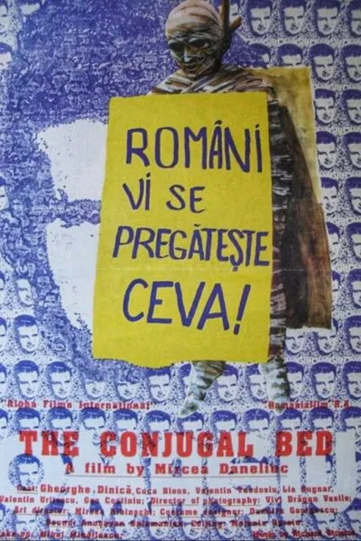 The Conjugal Bed