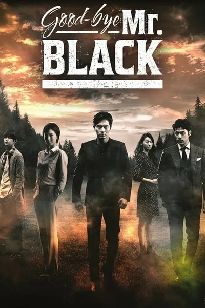 Goodbye Mr. Black