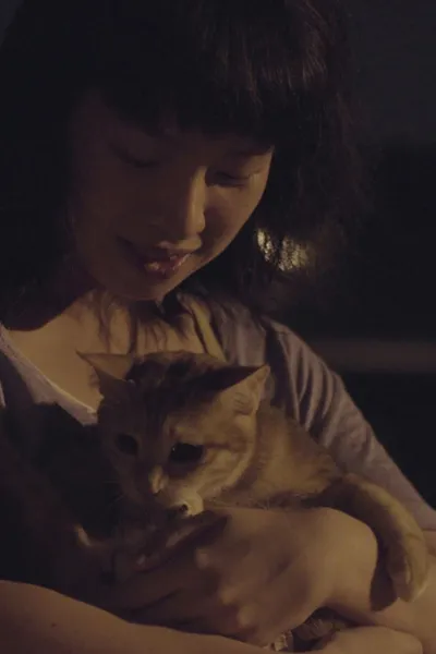 Stray Cat