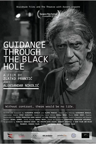 Guidance Through the Black Hole