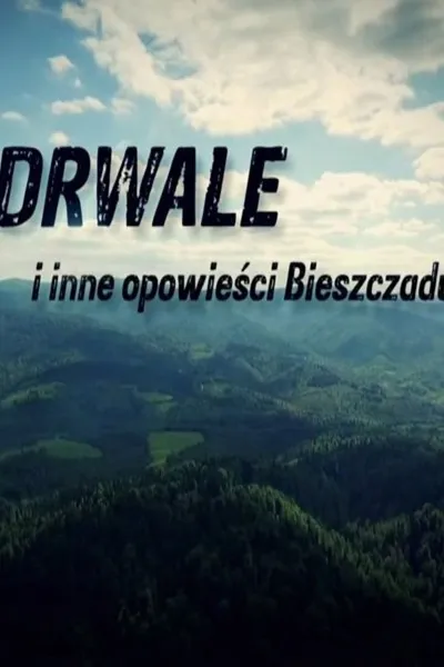 Drwale i inne opowieści Bieszczadu